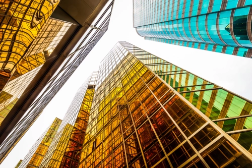 Multistate tax services